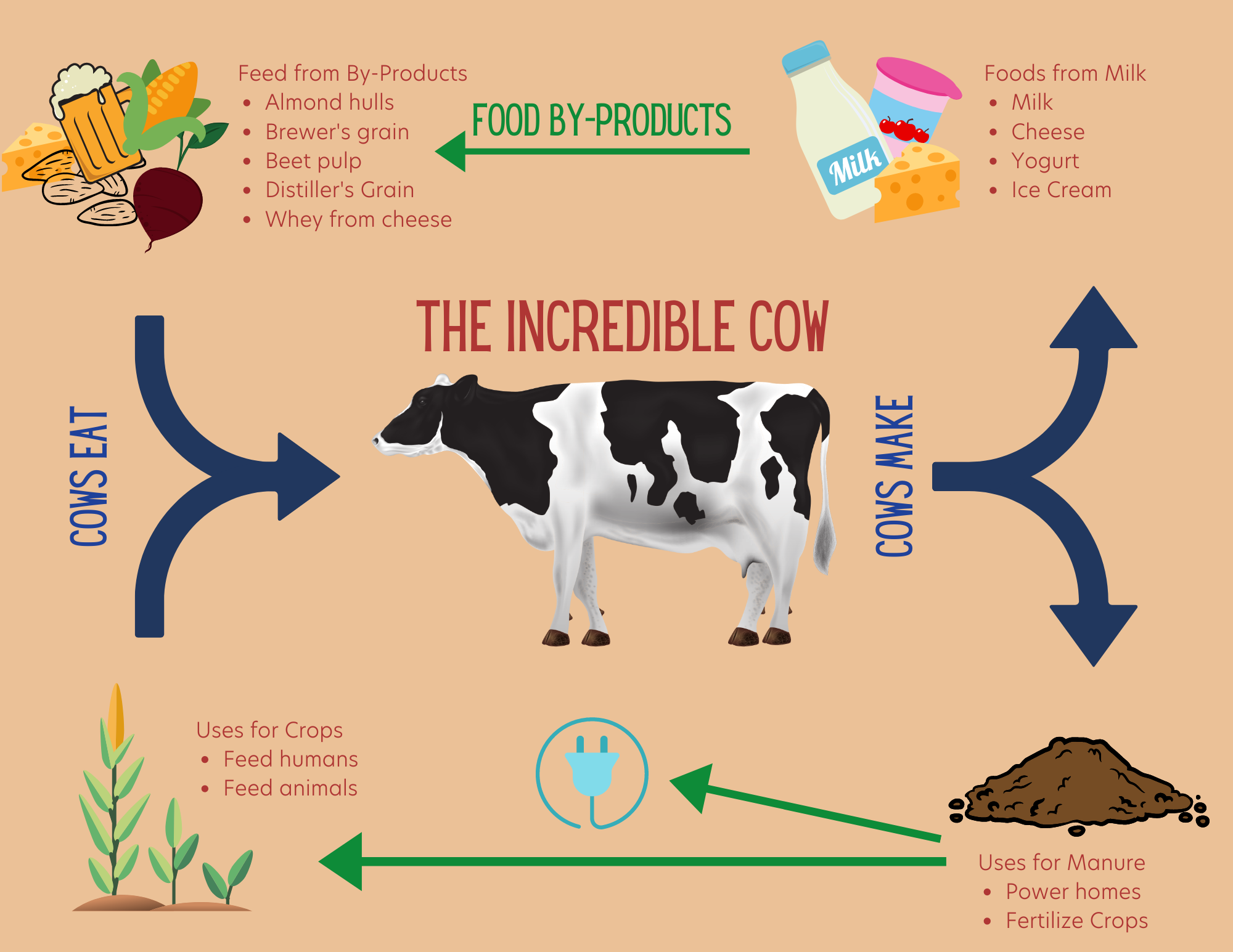 dairy cow food