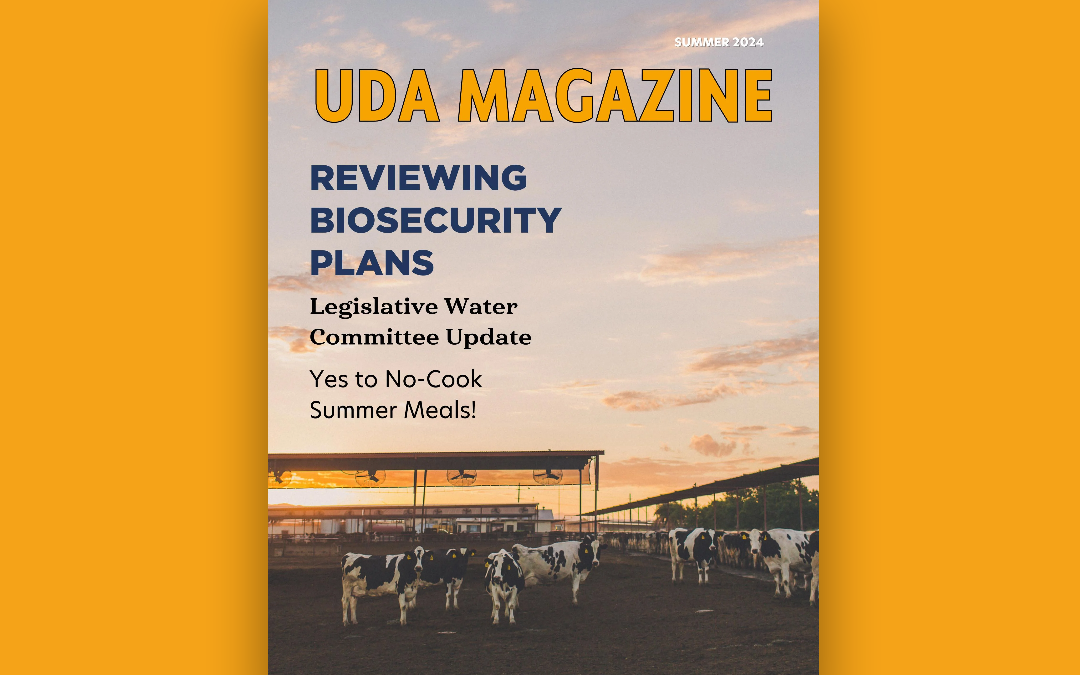 UDA Magazine Summer 2024